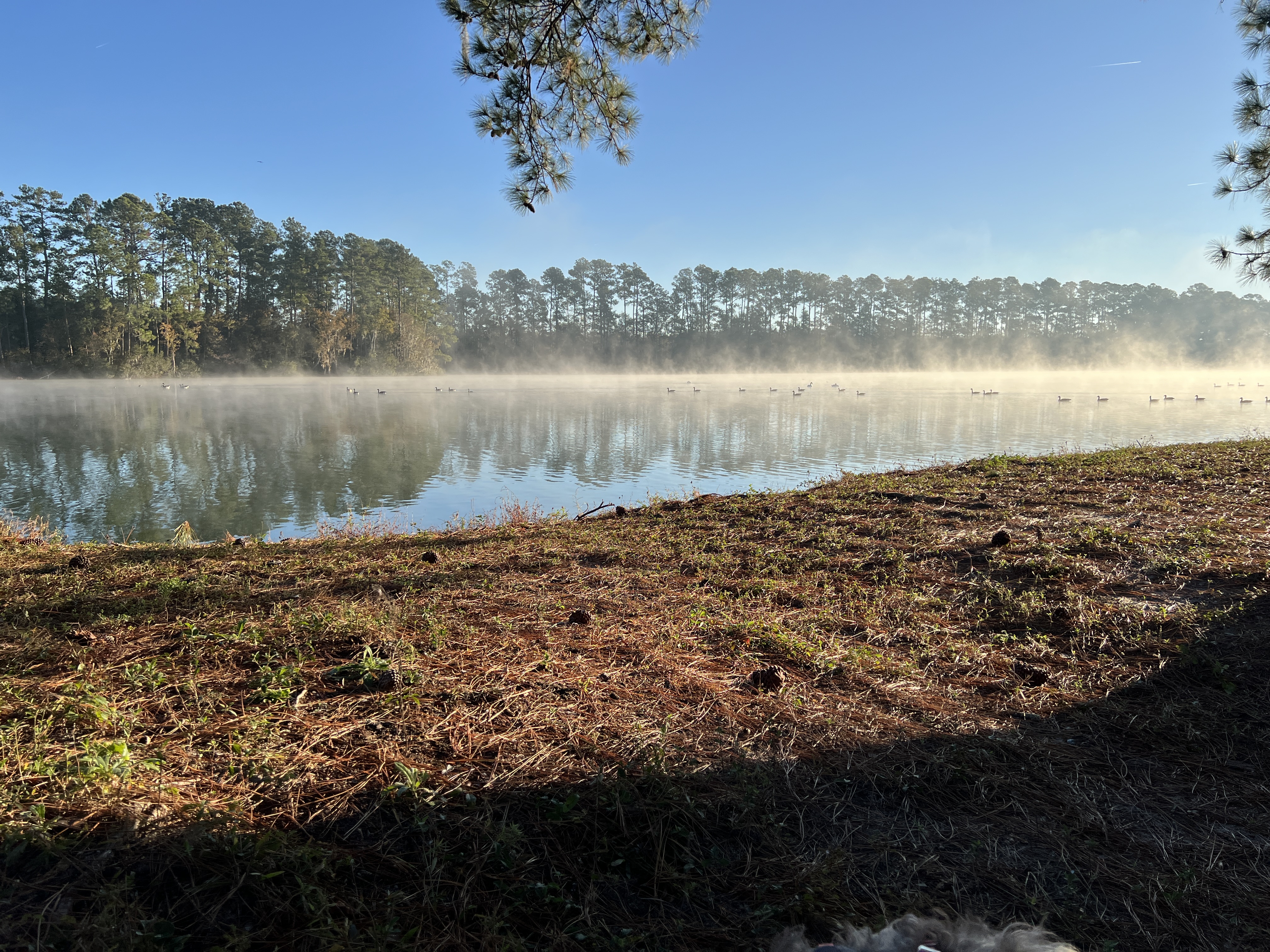 ./2024/12 - Thanksgiving/IMG_3821.JPG